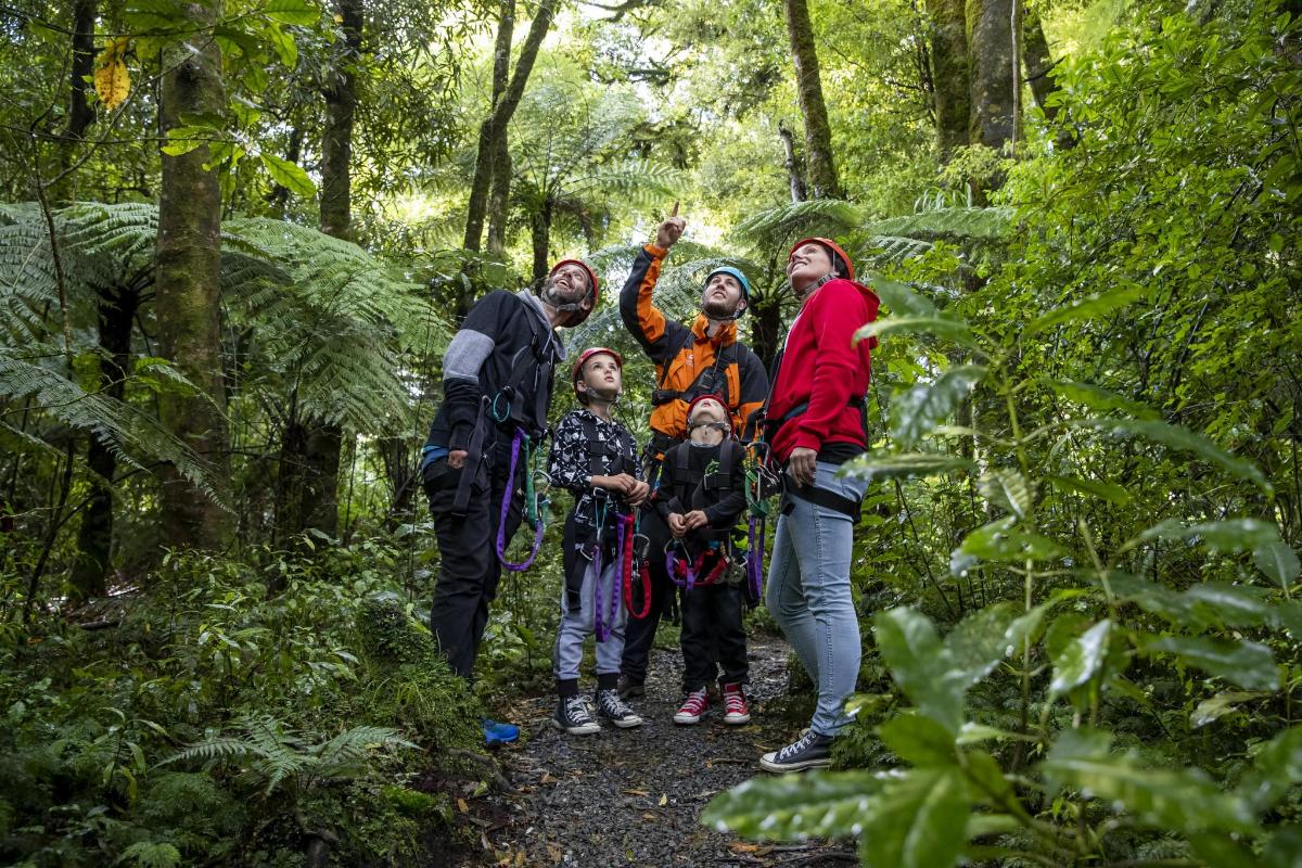 a family standing on a trail in the forest