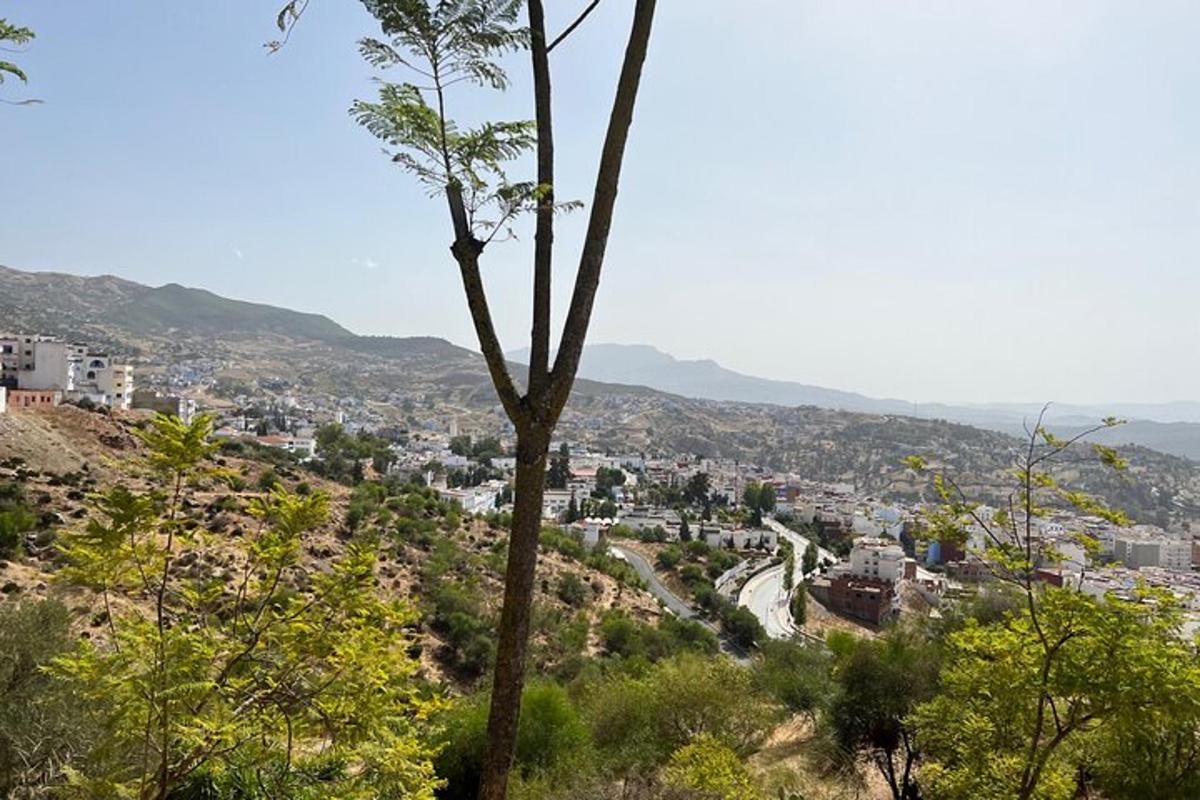 a view of a city from a hill