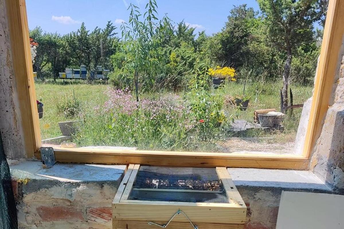 una finestra con vista su un giardino