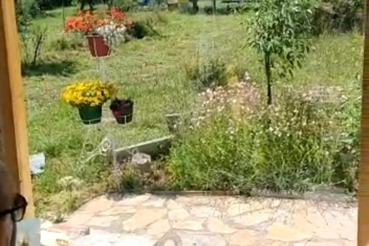 una vista di un giardino con fiori in un cortile