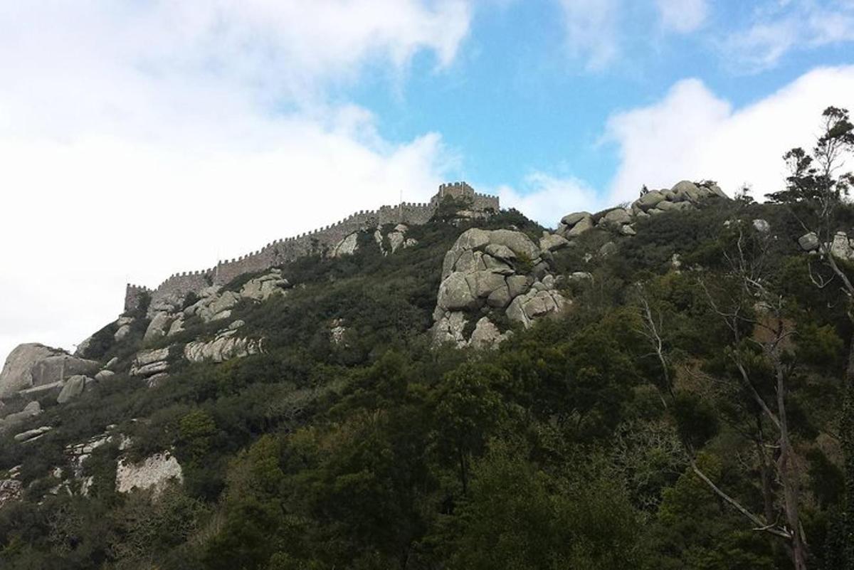 山顶有树木的岩石山
