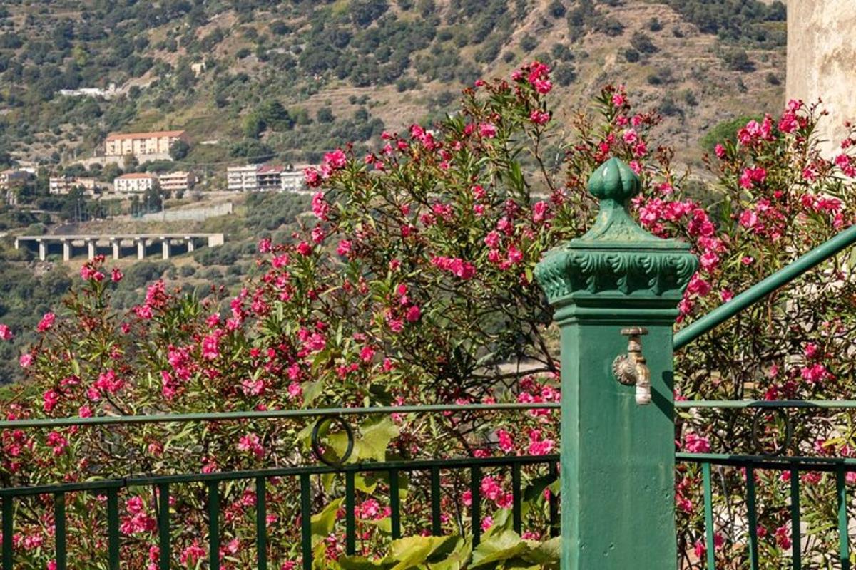 Ένας πράσινος στύλος με ροζ λουλούδια σε έναν φράχτη