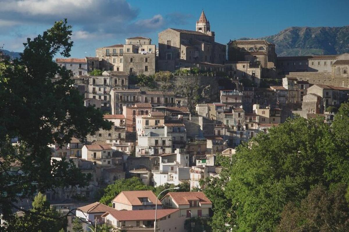 a group of buildings on a hill with houses