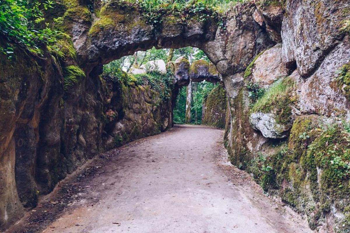 uma estrada através de um túnel em uma parede de rocha
