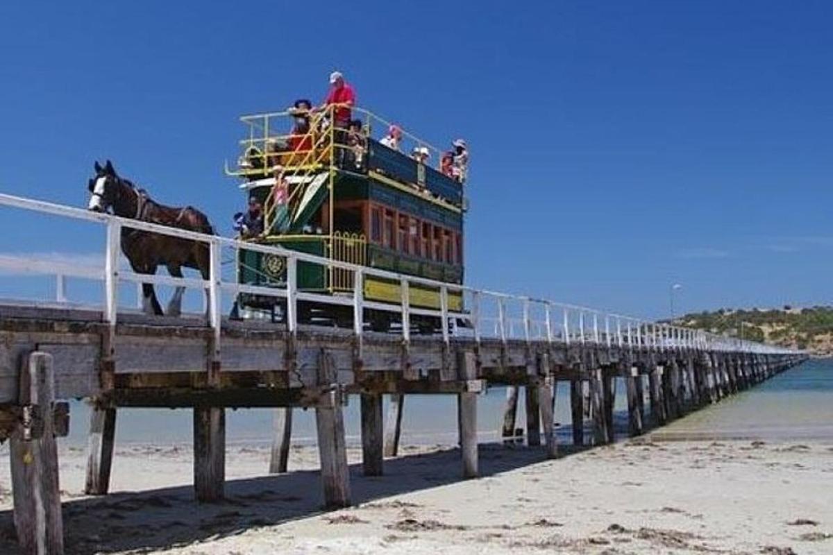 a horse standing on a pier on the beach