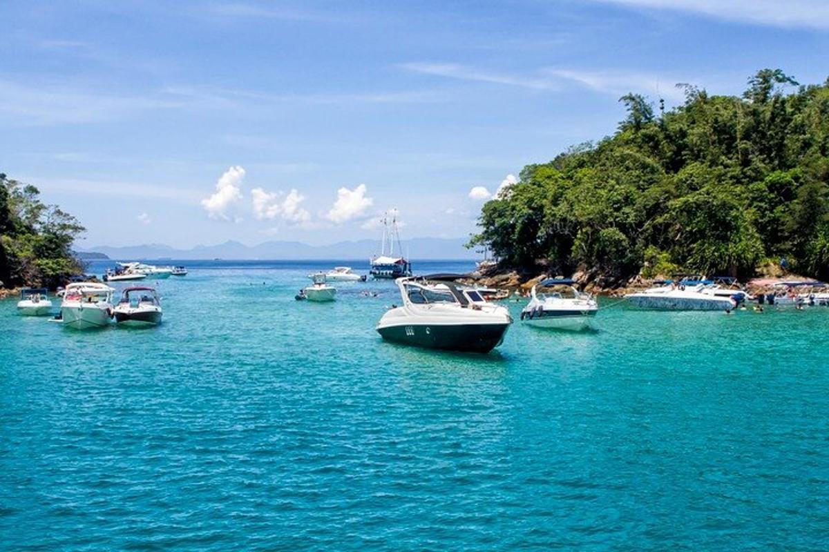 a group of boats docked in a large body of water
