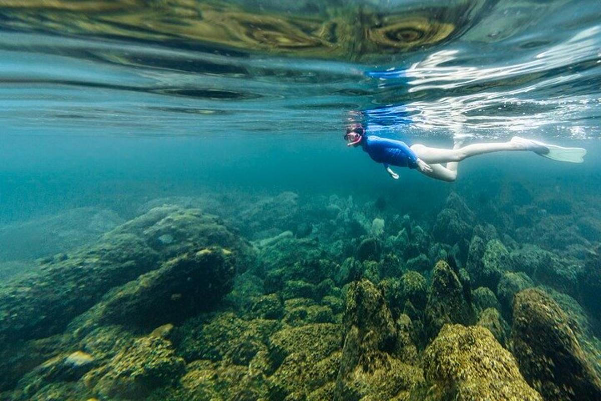 une femme nageant dans l'eau au-dessus d'un récif