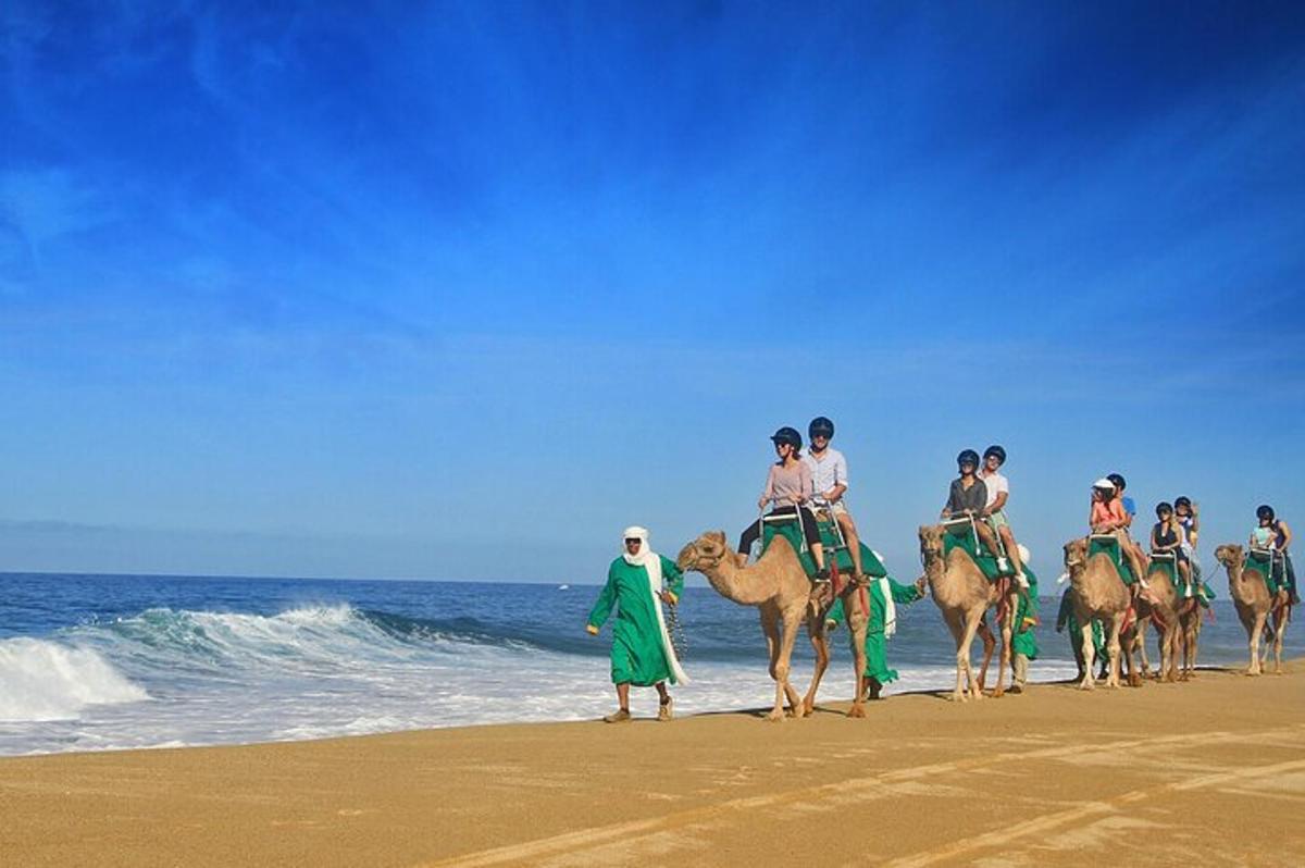 en gruppe mennesker som rir på kameler på stranden