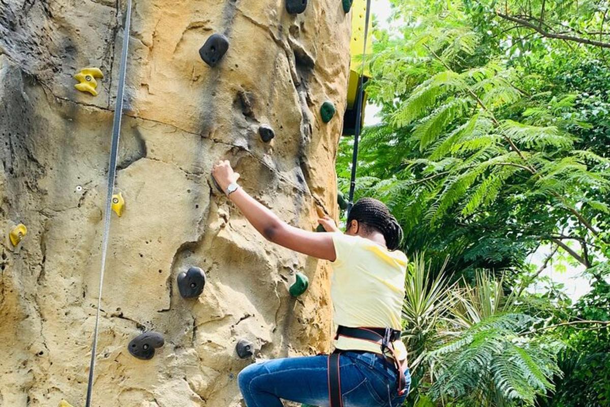 una persona che si arrampica su una parete rocciosa