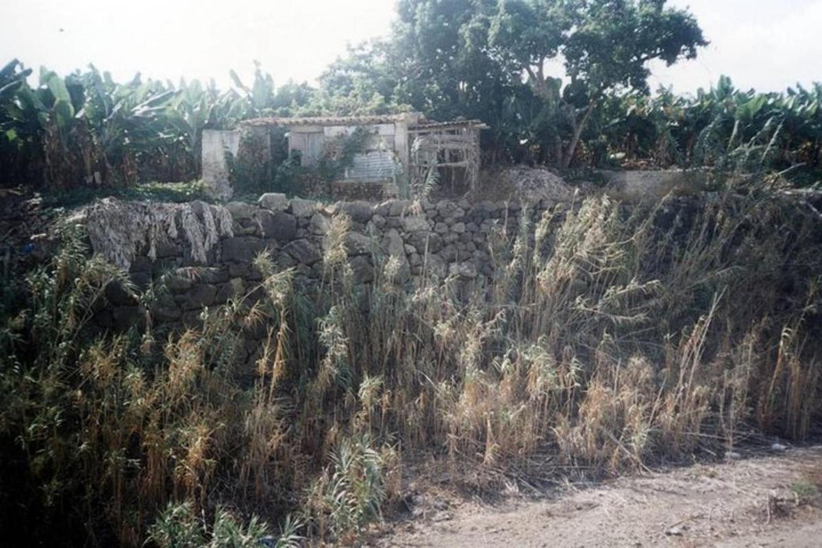 un mur de pedra al costat d'un camp d'herba alta