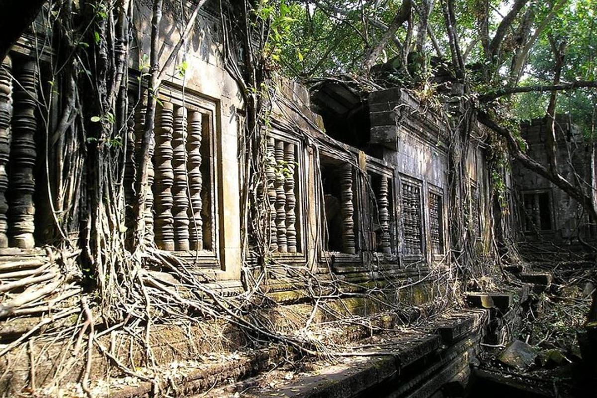 Un edificio antiguo con árboles creciendo a su alrededor.