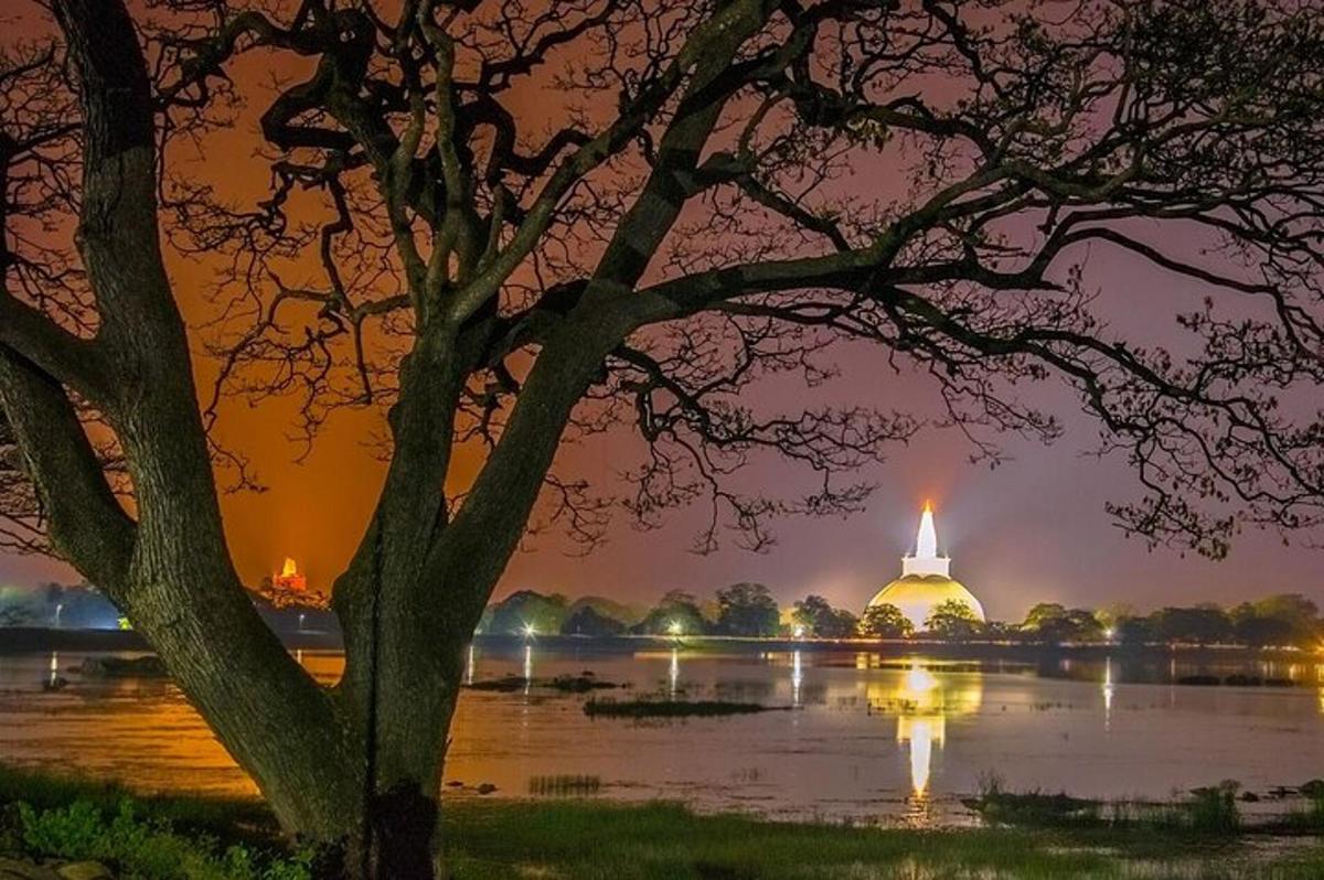 дрво са зградом усред језера