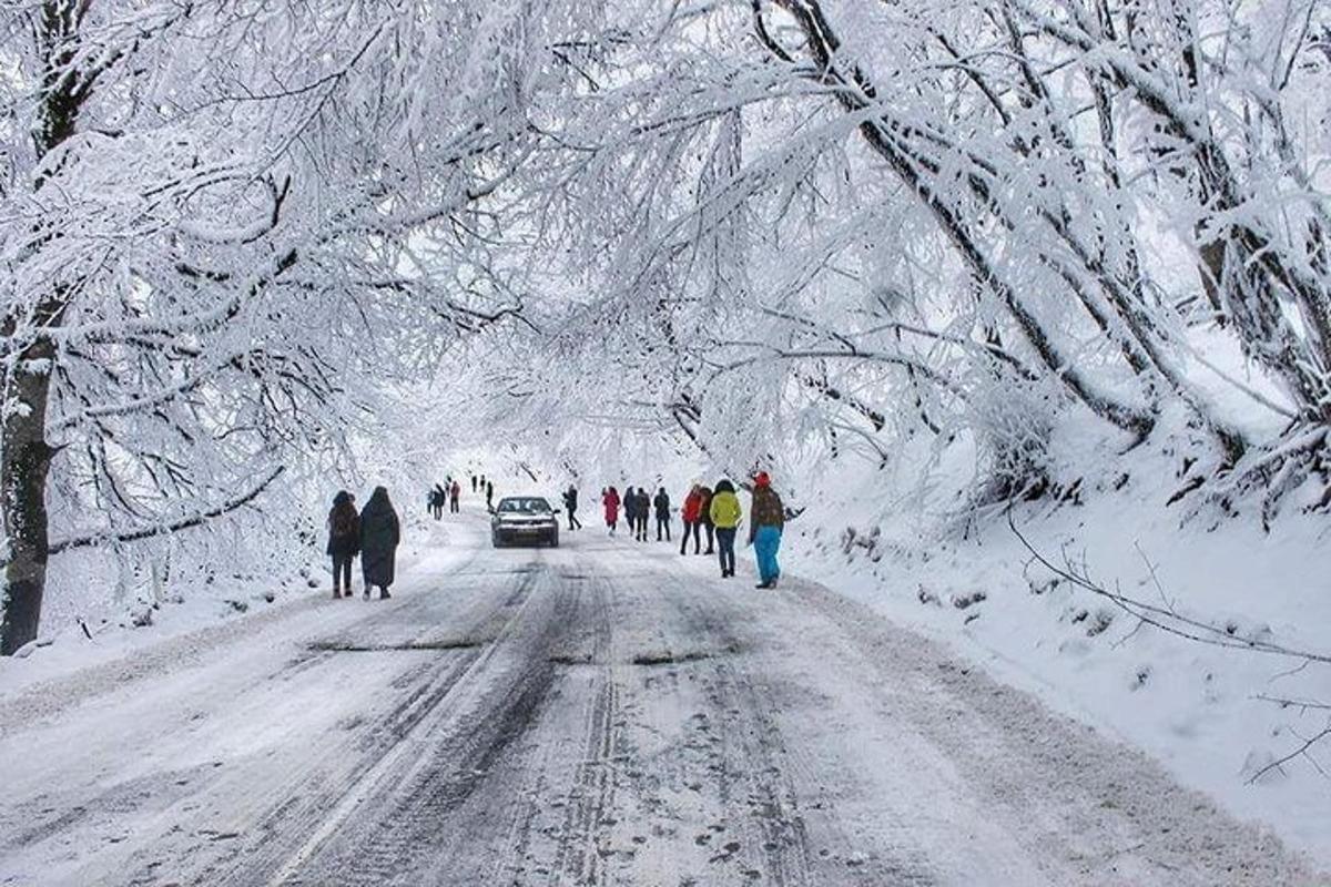 un gruppo di persone che cammina lungo una strada innevata