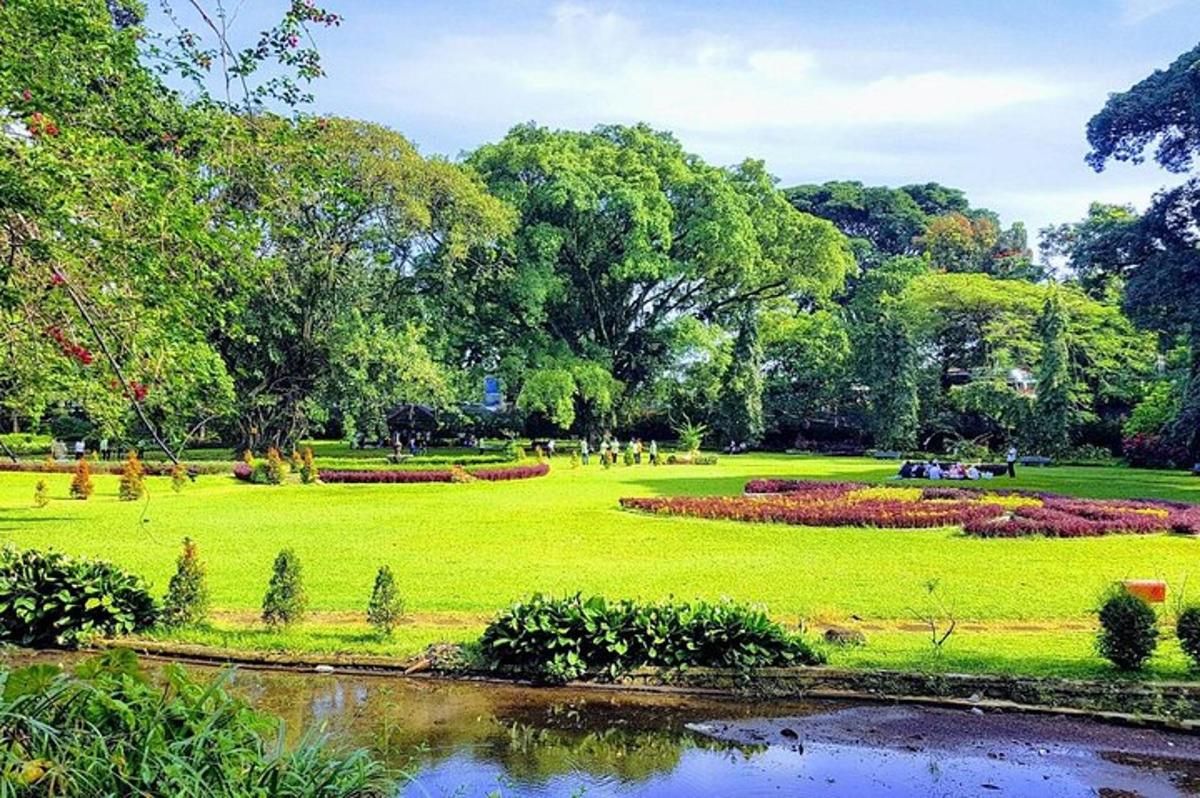 un parco con un campo verde e uno stagno
