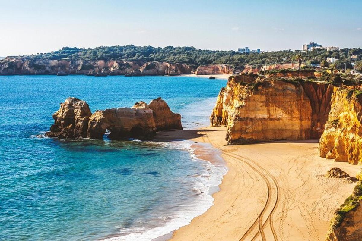 uma vista de uma praia com pedras e o oceano