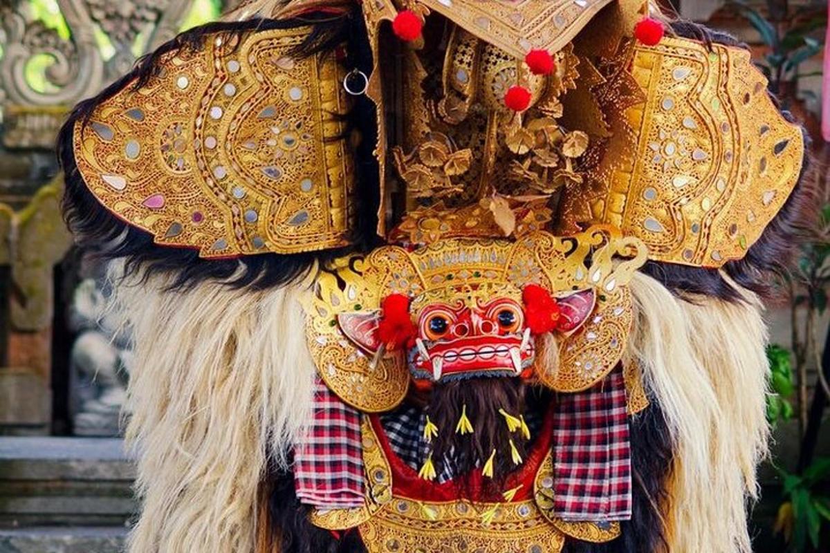 una persona vestita con una maschera e un costume