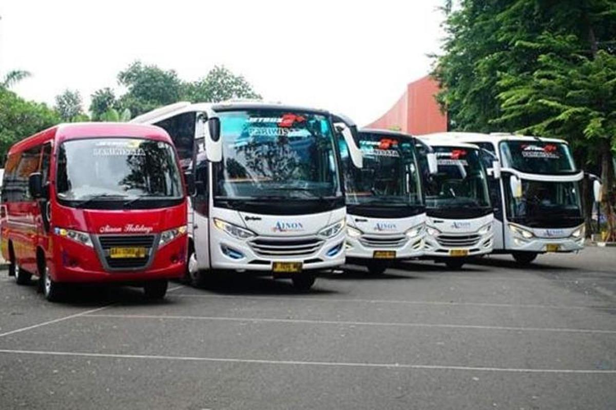 řada autobusů zaparkovaných na parkovišti