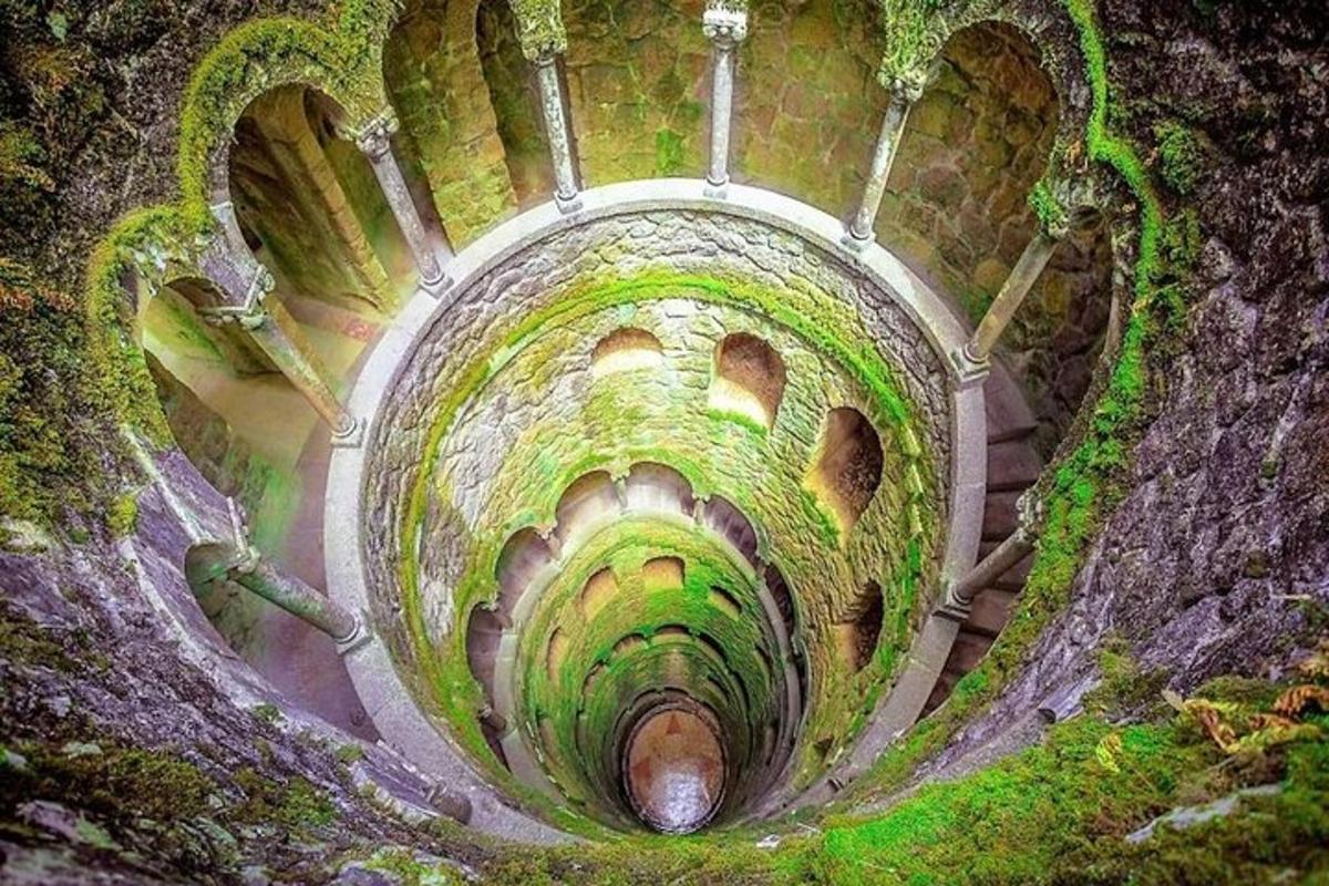 a view of a tunnel with green moss on it
