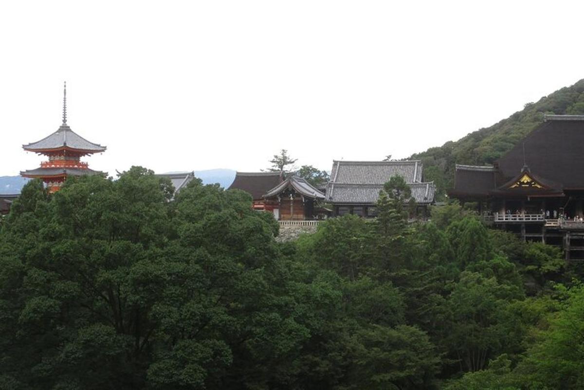 a group of buildings with trees and a pagoda
