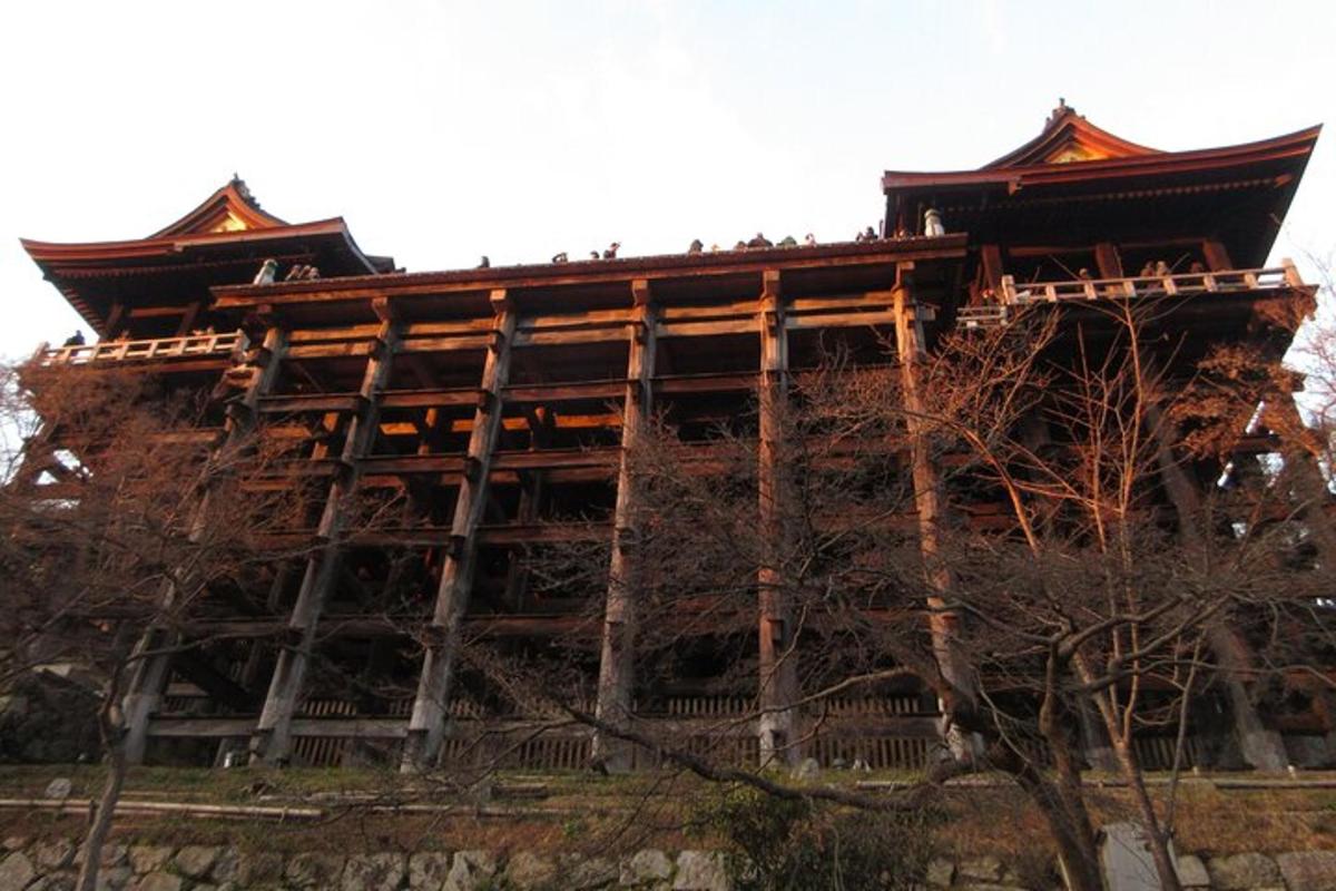 a building on top of a hill with trees