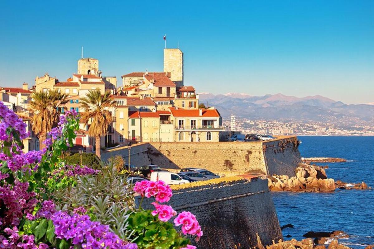 Un pueblo en una colina con flores moradas.
