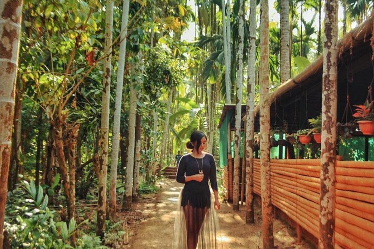 a woman walking down a path through a forest