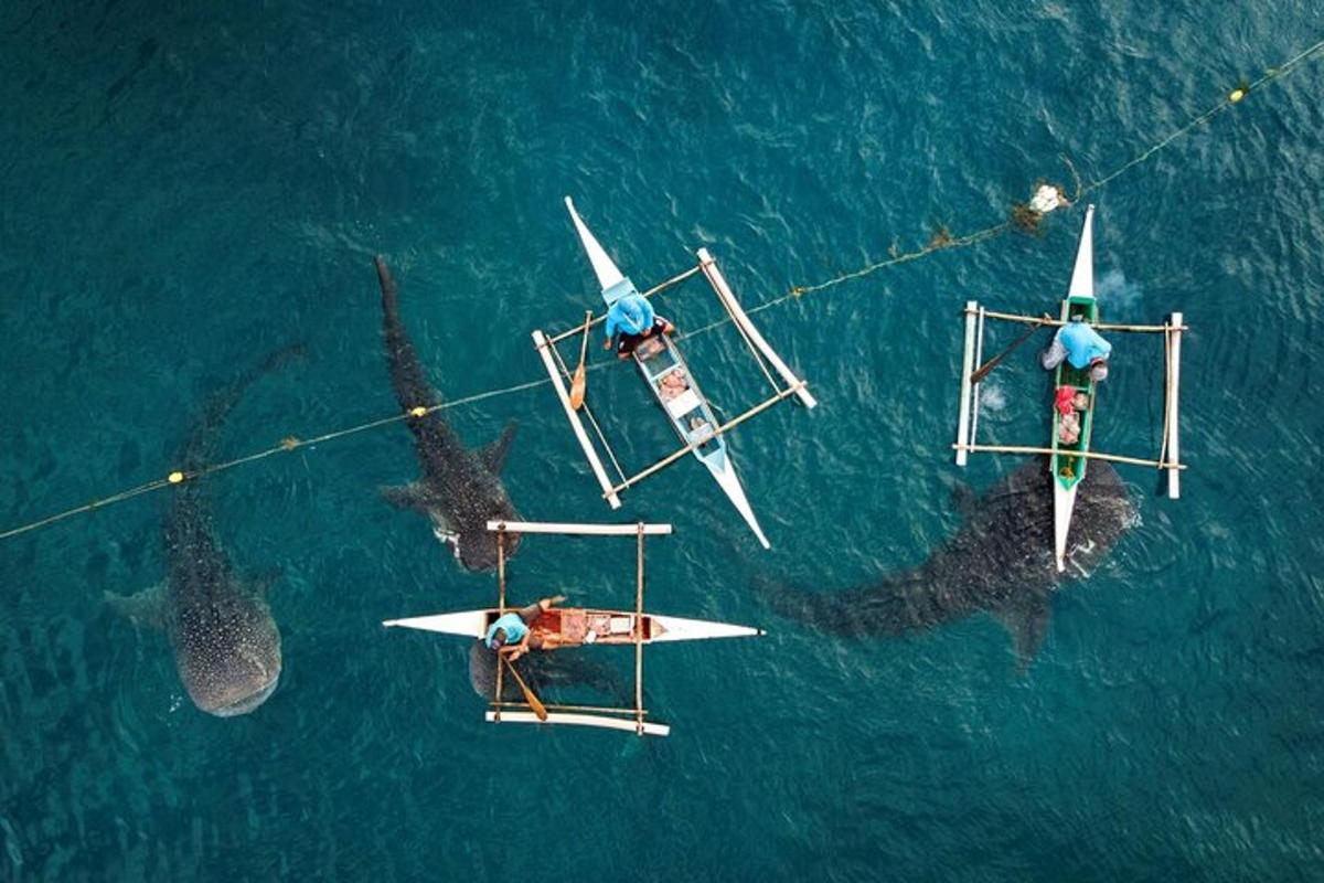 un gruppo di tre barche in acqua