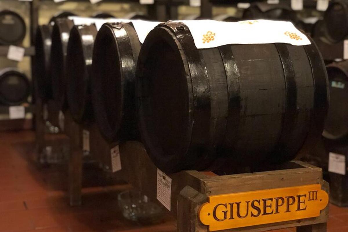 uma fileira de barris de vinho em exposição em uma loja