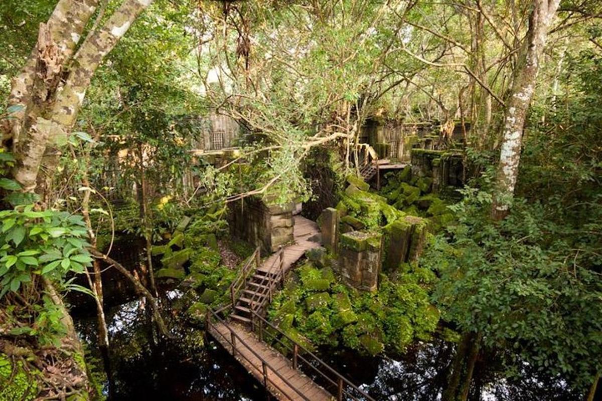 una escala en un jardí amb arbres i aigua