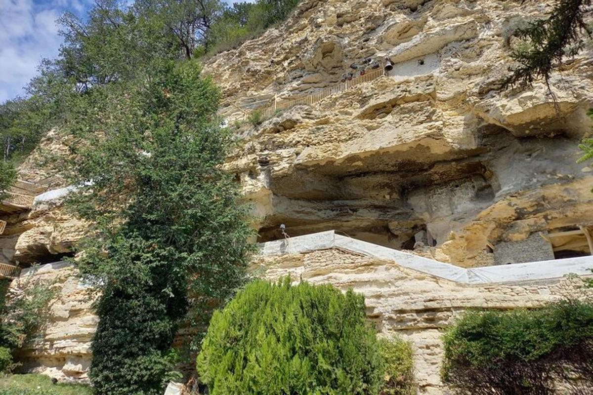 ein Baum steht neben einem felsigen Berg