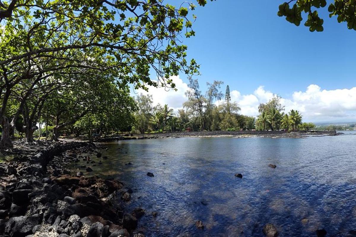 a view of a river with trees and rocks