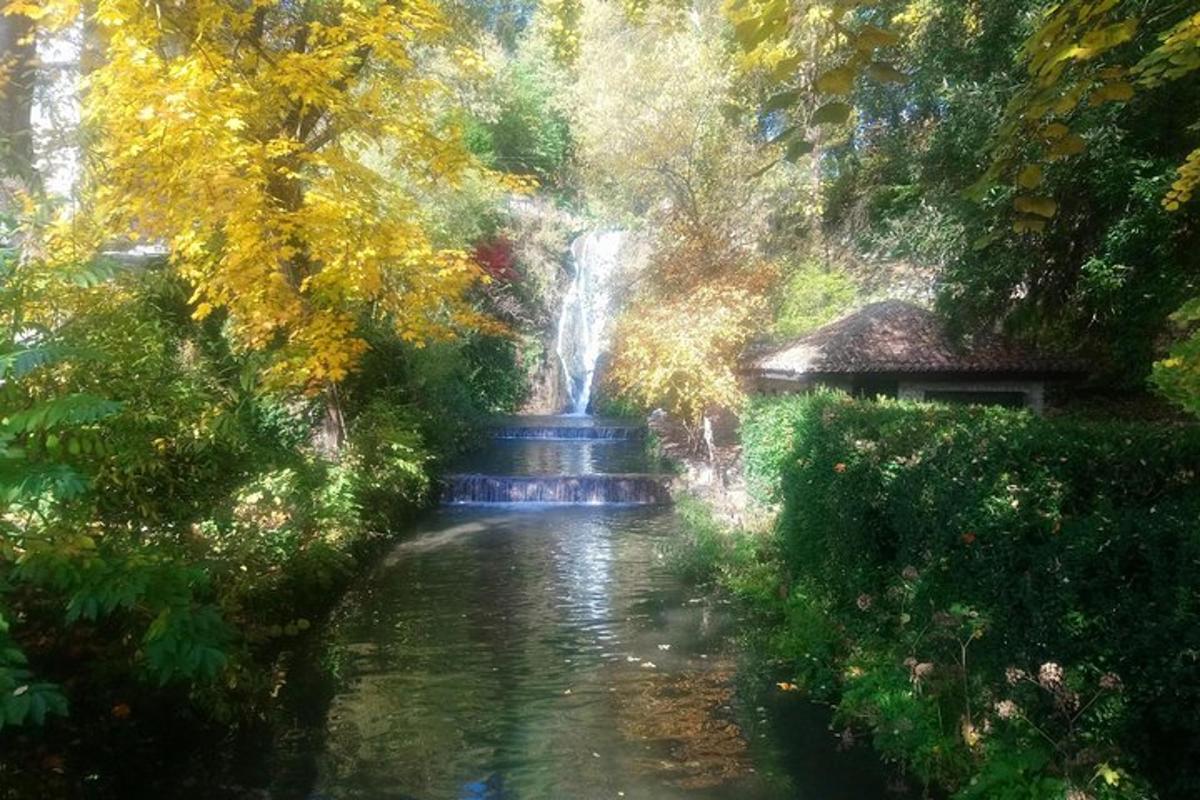 ein Gemälde eines Wasserfalls in einem Garten