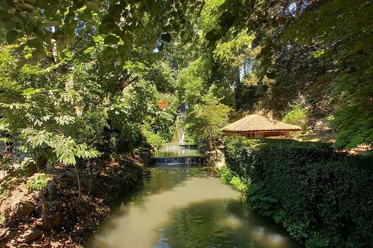 ein kleiner Teich mit einem Springbrunnen in einem Garten