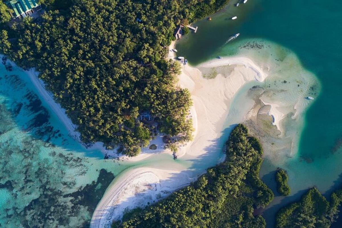 Una vista aérea de una playa con árboles y agua.