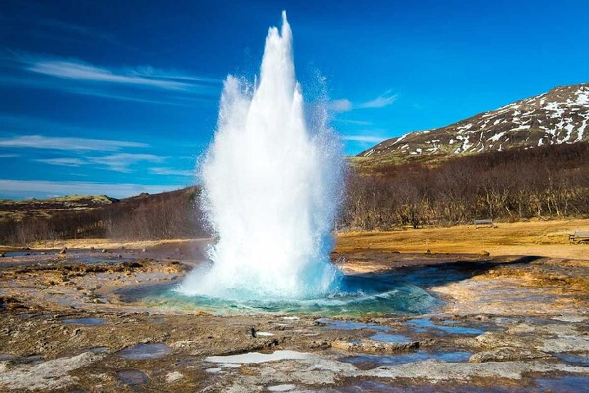 un grande geyser in mezzo a un campo