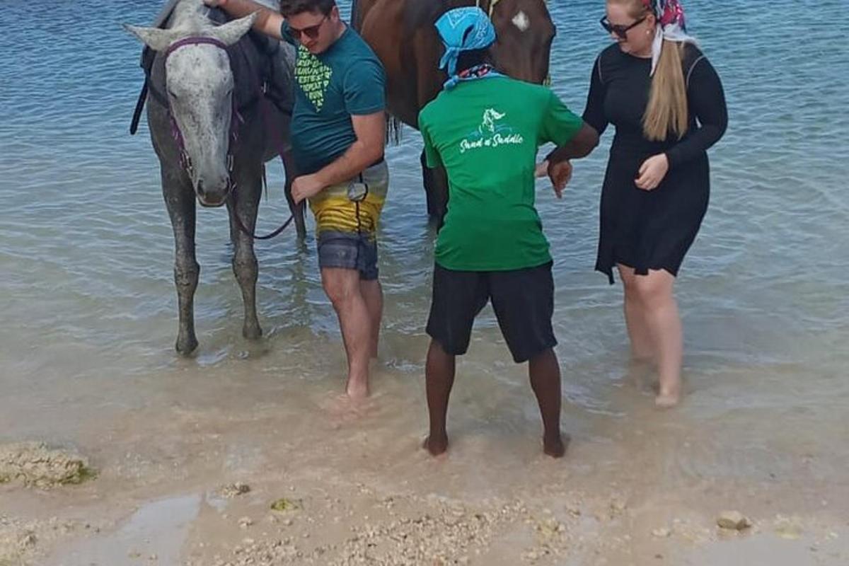 un gruppo di persone in piedi nell'acqua con un cavallo