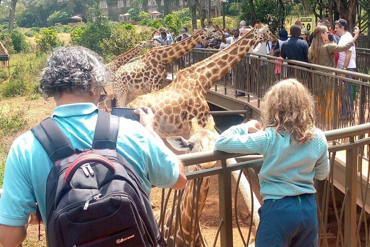 un gruppo di persone che osserva le giraffe allo zoo