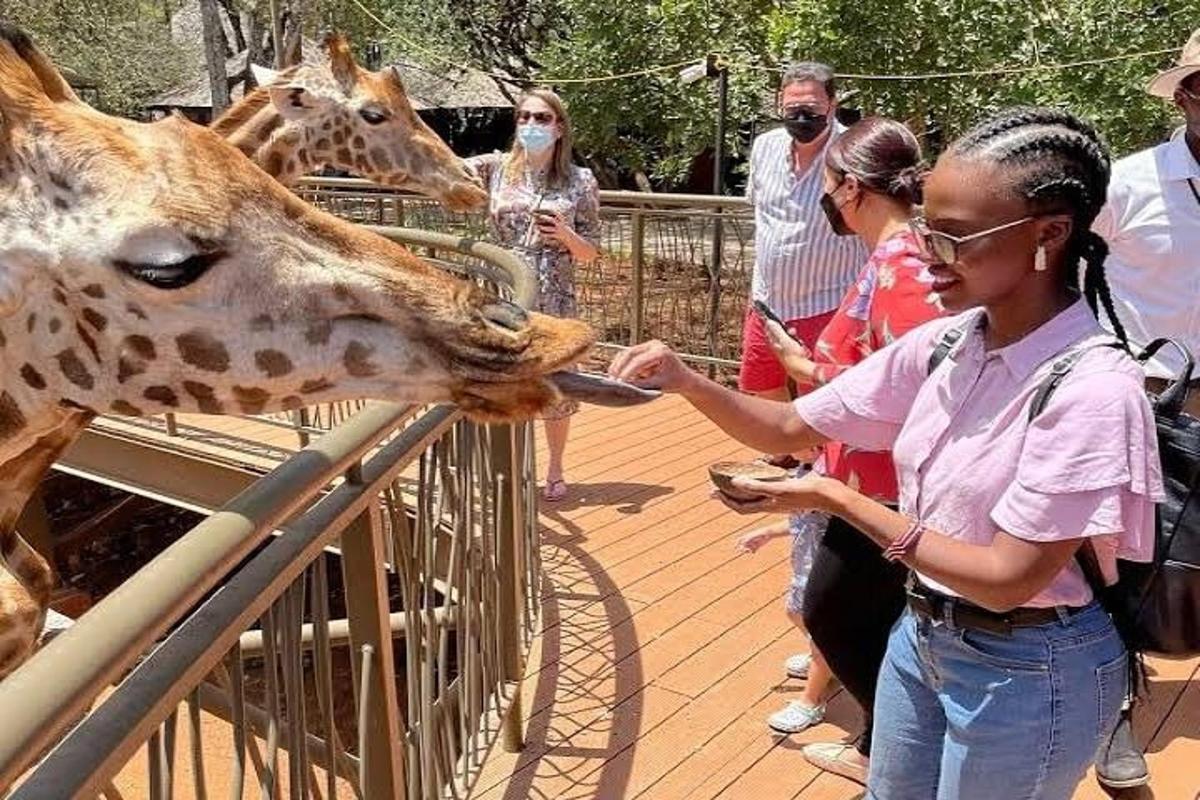 una donna sta dando da mangiare a una giraffa allo zoo