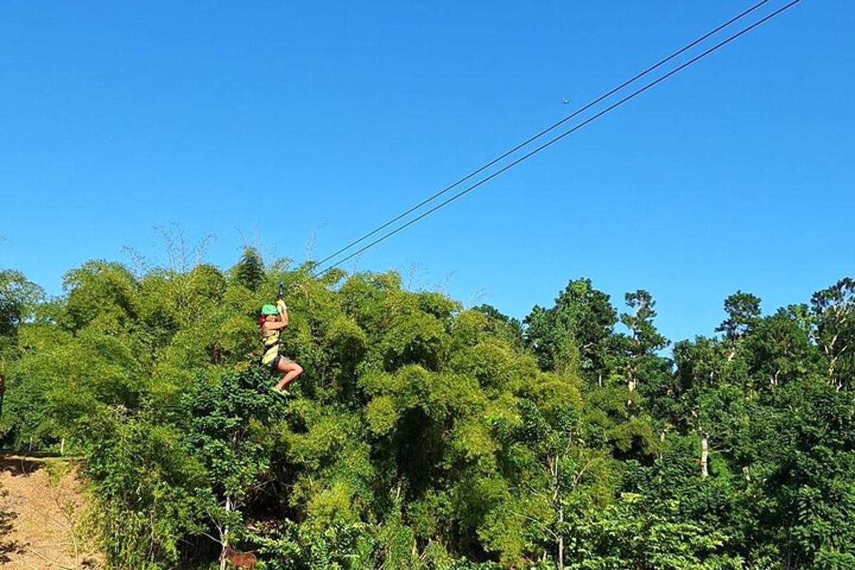 osoba na zip line ve stromech