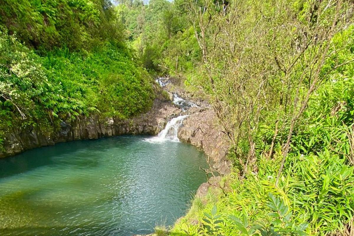 a river with a waterfall in the middle of a forest