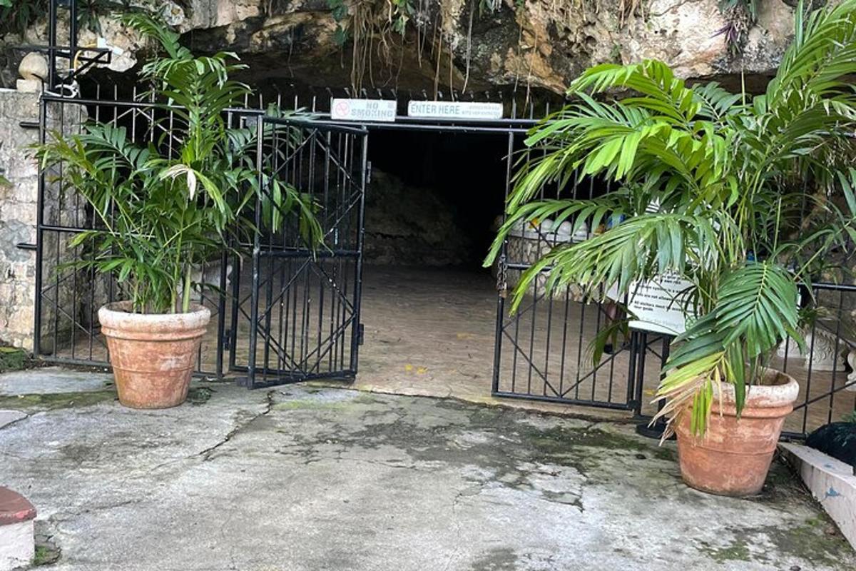 pintu masuk ke gua dengan dua tumbuhan dalam pasu