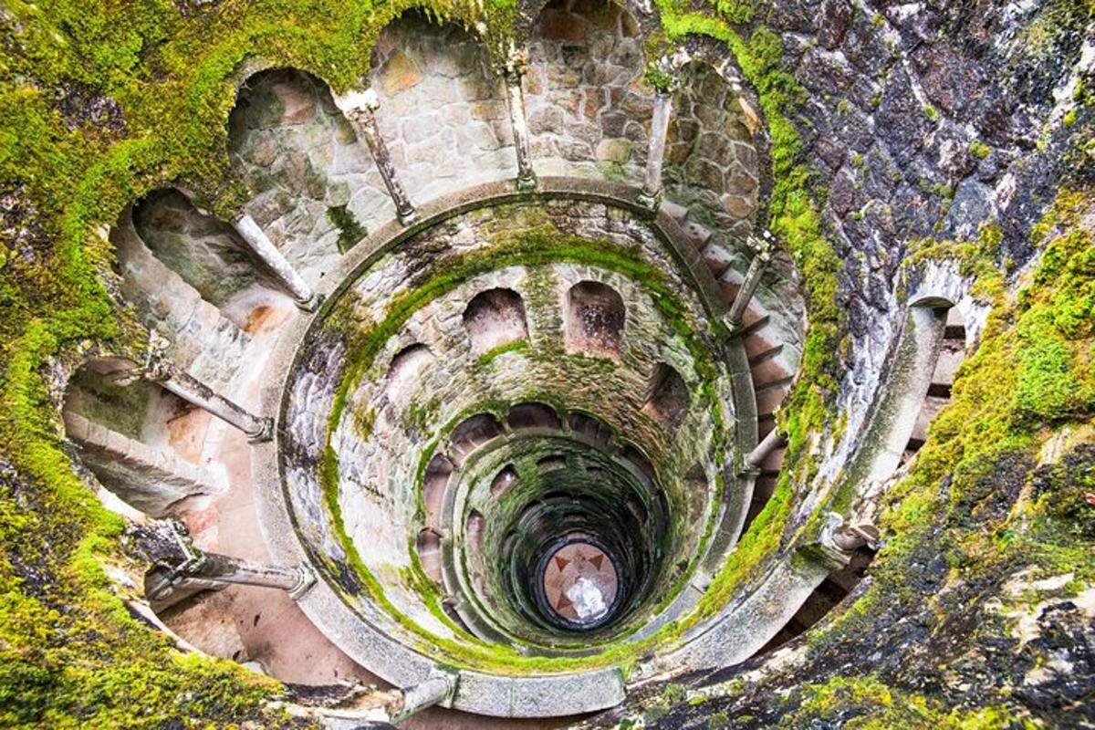 una vista aerea di una scala a chiocciola con muschio