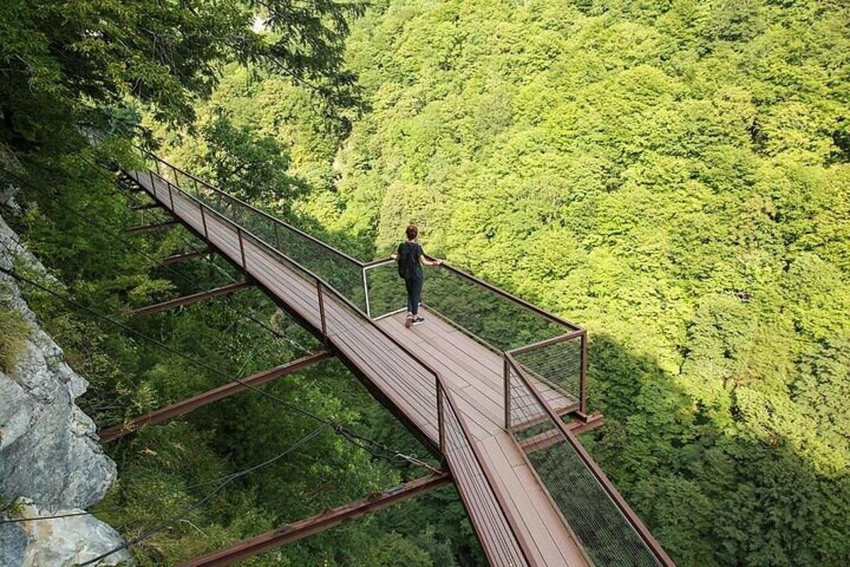 a man walking on a bridge over a forest