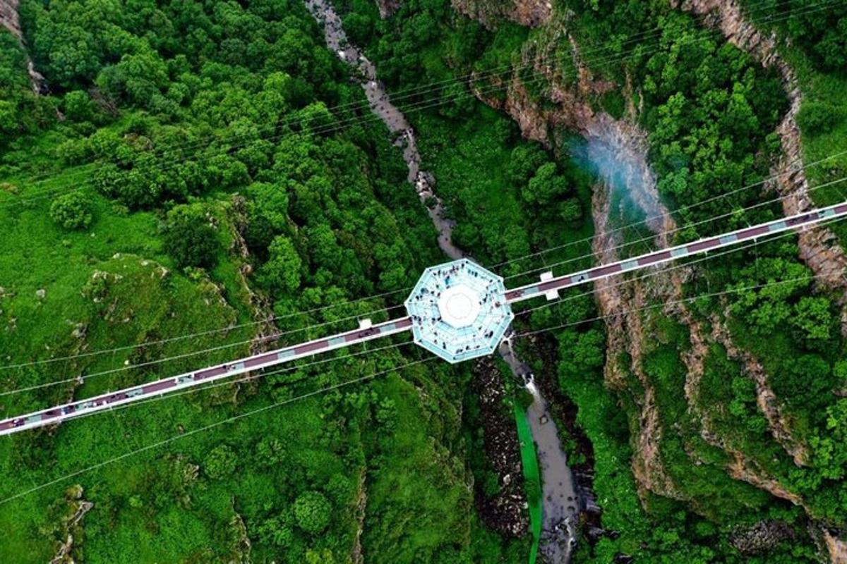 una vista dall'alto di un ponte sospeso sopra una foresta