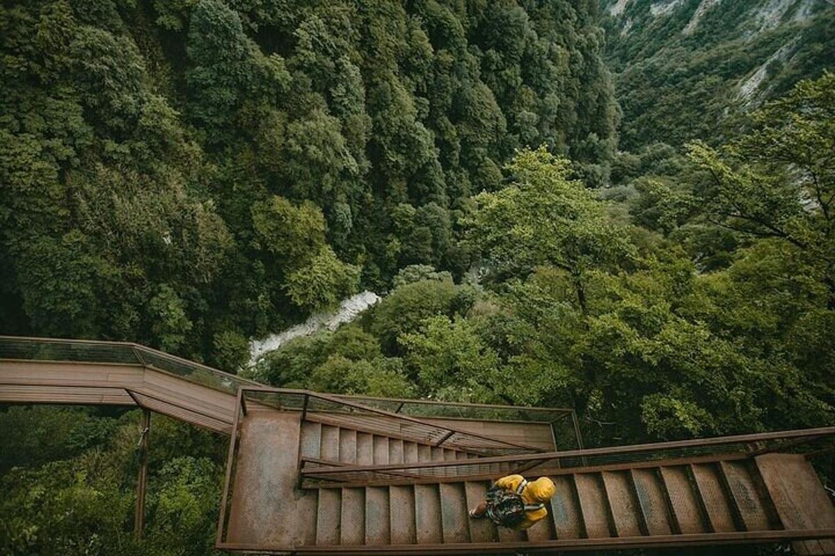 a group of people on a suspension bridge in a forest
