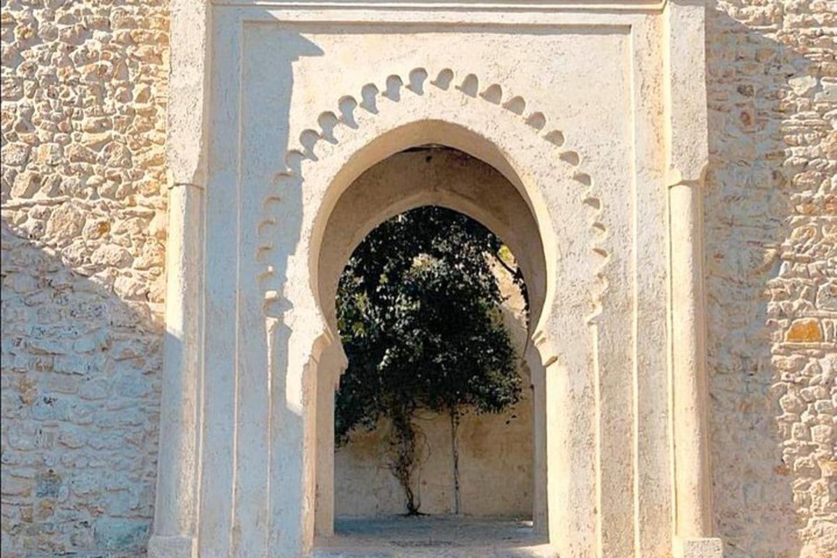 hoone, mille kaares on puu