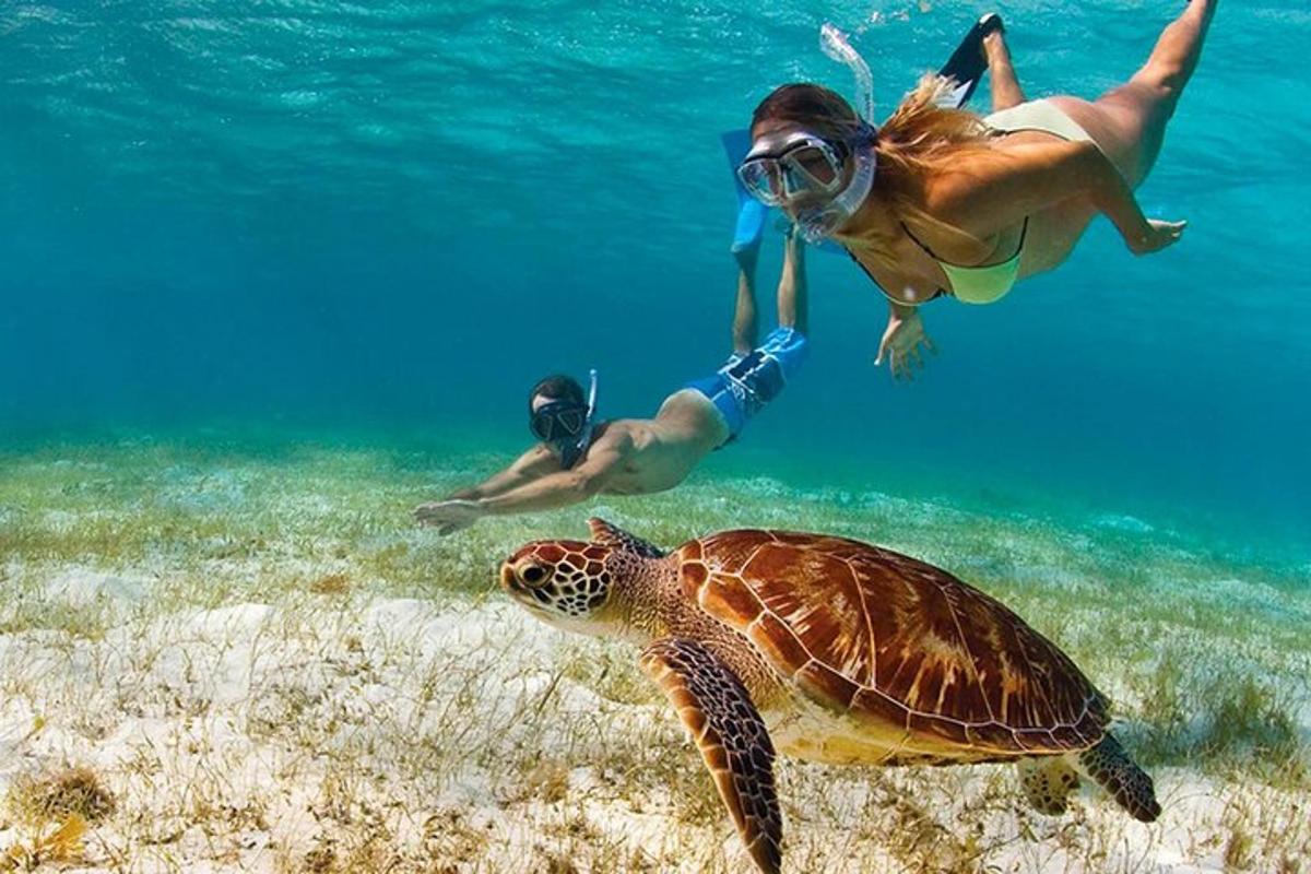 una donna e una tartaruga che nuotano nell'oceano