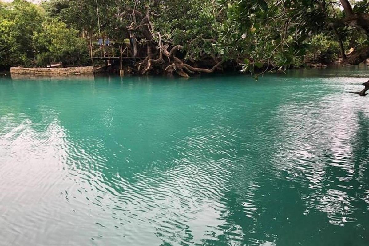 a body of water with green water and trees