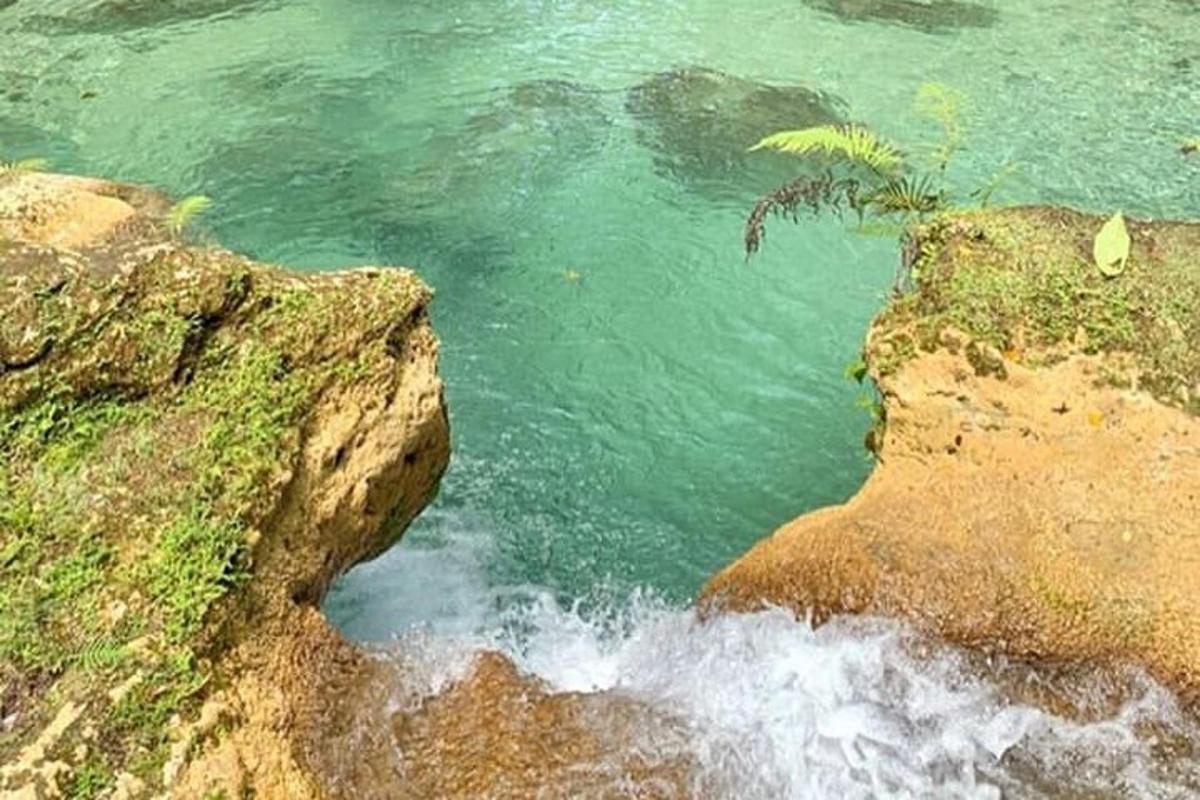 un árbol al lado de un cuerpo de agua