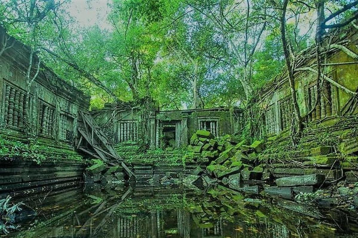 слика старе зграде у шуми